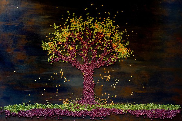 Comment intégrer des plantes grimpantes dans une décoration intérieure?